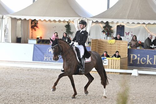 Vicent Arroyo (www.vamb-dressage.de)