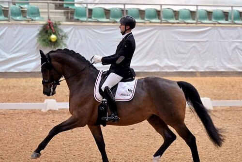 Matthias Bouten (www.vamb-dressage.de)