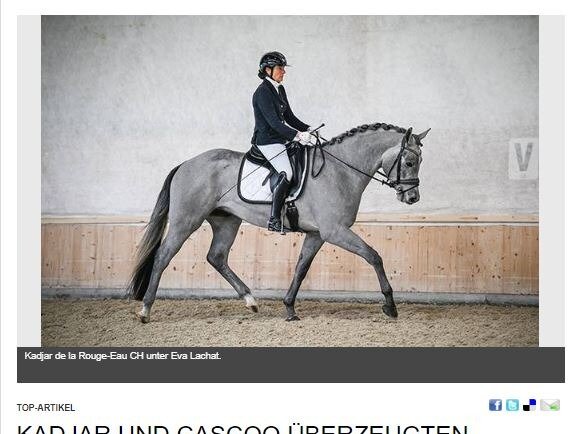 Eva Lachat und Kadjar de la Rouge-Eau CH gewinnen Swiss Breed Classic Aadorf TG
