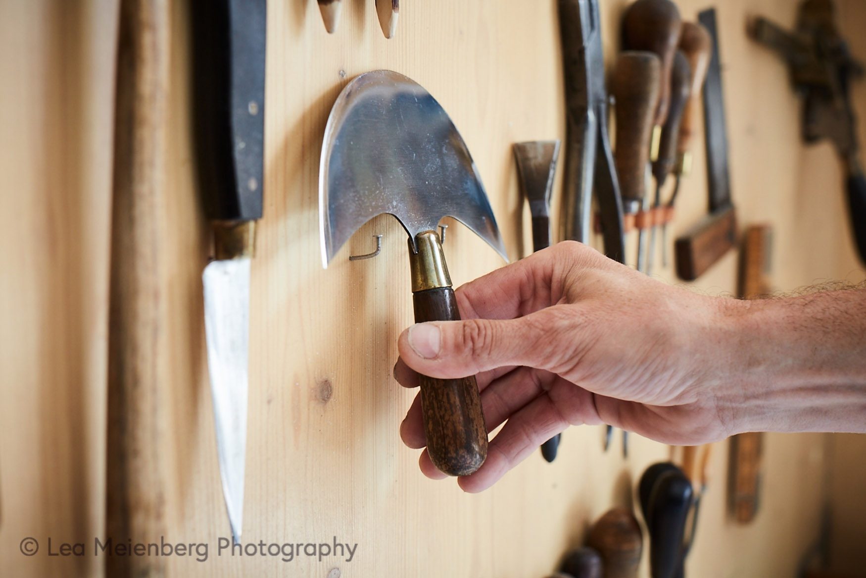 Header - Dienstleistungen